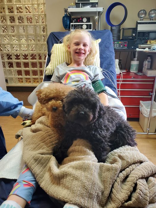 dental therapy dogs with child patient