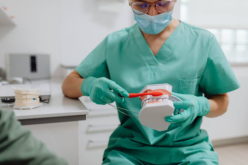 dentist demonstrating to patient brushing techniques with a model how to fix receding gums sleep dentistry erie